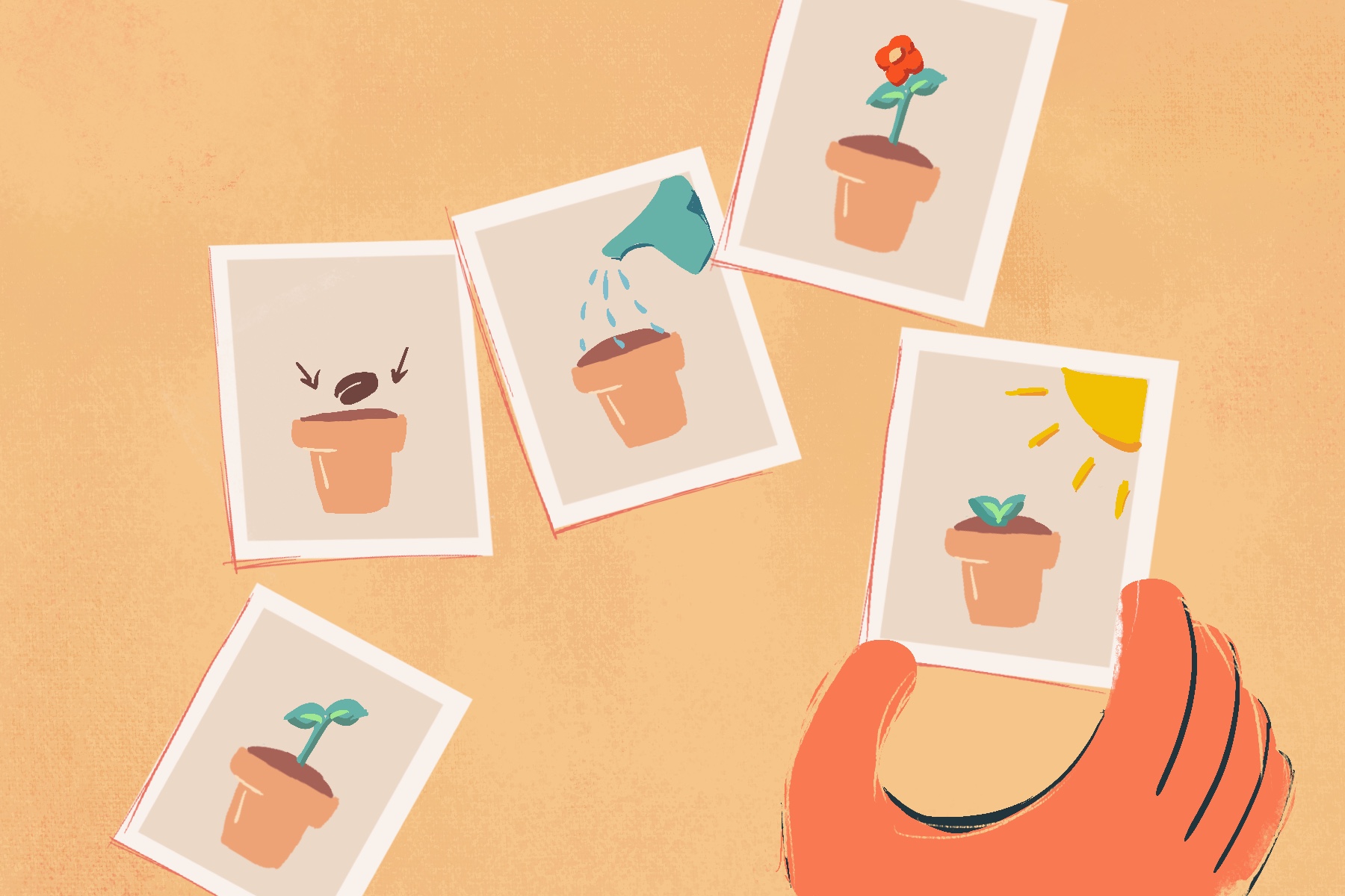 Illustration of five picture of potted plant at different growing stages and hand holding picture of grown plant with sun